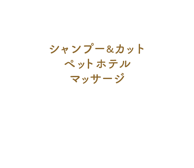 シャンプー＆カット ペットホテル マッサージ